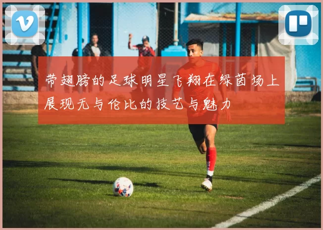 带翅膀的足球明星飞翔在绿茵场上展现无与伦比的技艺与魅力
