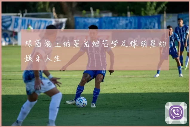 绿茵场上的星光综艺梦足球明星的娱乐人生