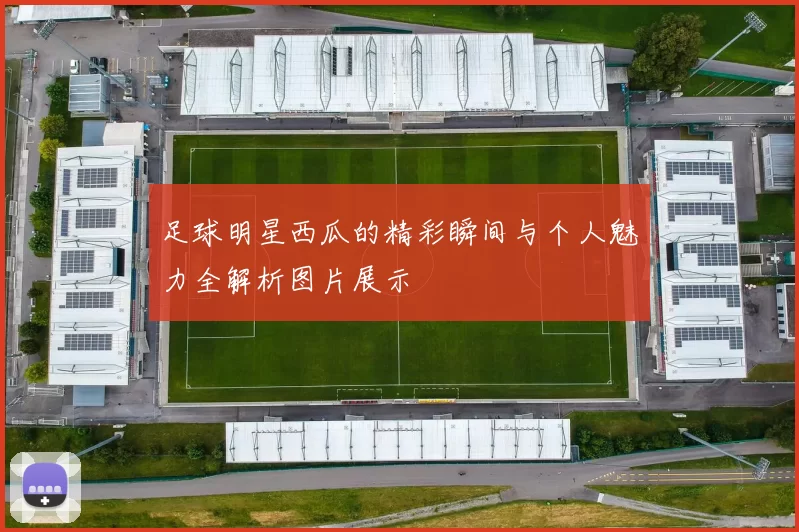 足球明星西瓜的精彩瞬间与个人魅力全解析图片展示